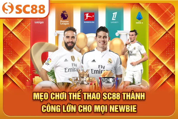 Mẹo chơi Thể Thao SC88 thành công lớn cho mọi newbie