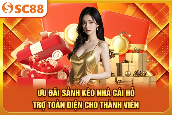 Ưu đãi sảnh kèo nhà cái hỗ trợ toàn diện cho thành viên